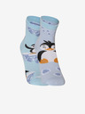 Dedoles Šťastný tučňák Kids Socks