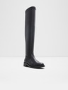 Aldo Breaveth Tall boots