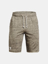 Under Armour UA Rival Terry Short pants